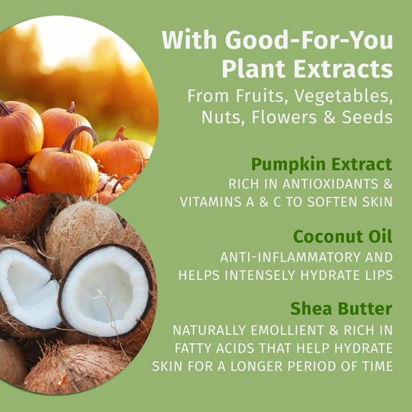 ⚜️Hempz Pumpkin Spice & Vanilla Chai Herbal Lip Balm! NWT! - Picture 4 of 5